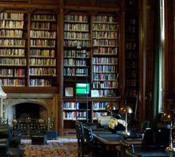 I Wish I Could Live in the Library